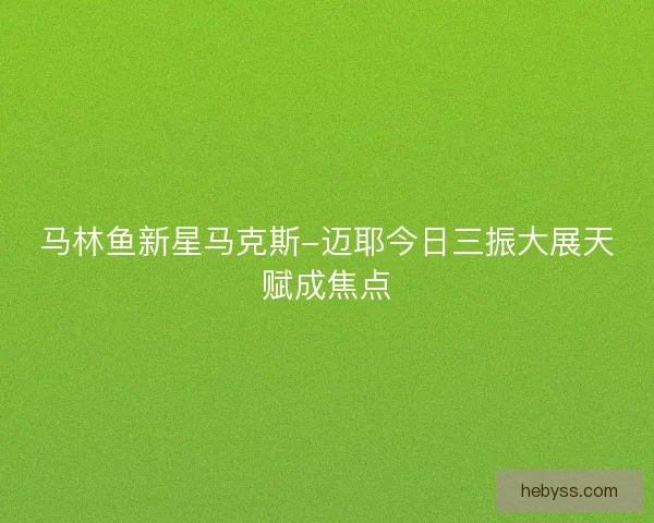 马林鱼新星马克斯-迈耶今日三振大展天赋成焦点
