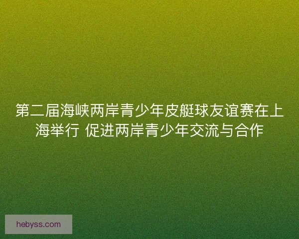第二届海峡两岸青少年皮艇球友谊赛在上海举行 促进两岸青少年交流与合作